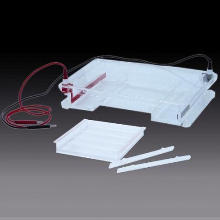 北京六一DYCP-31F瓊脂糖水平電泳儀電泳槽 核酸電泳儀(大號(hào))