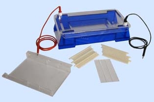 北京六一DYCP-33B瓊脂糖水平電泳儀電泳槽（中號(hào)）